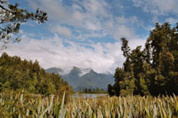 Am Lake Matheson - Mirror Lake